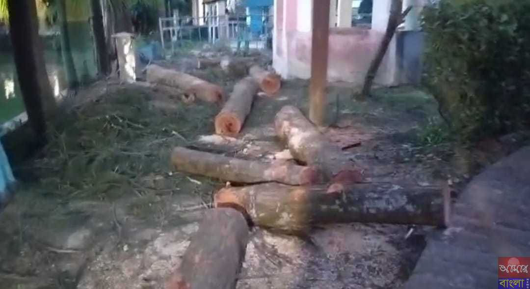 উত্তর ২৪ পরগনার অশোকনগর কল্যাণগড় পৌরসভার মিলেনিয়াম সাইন্স পার্কে গাছকাটা নিয়ে জোর বিতর্ক।।